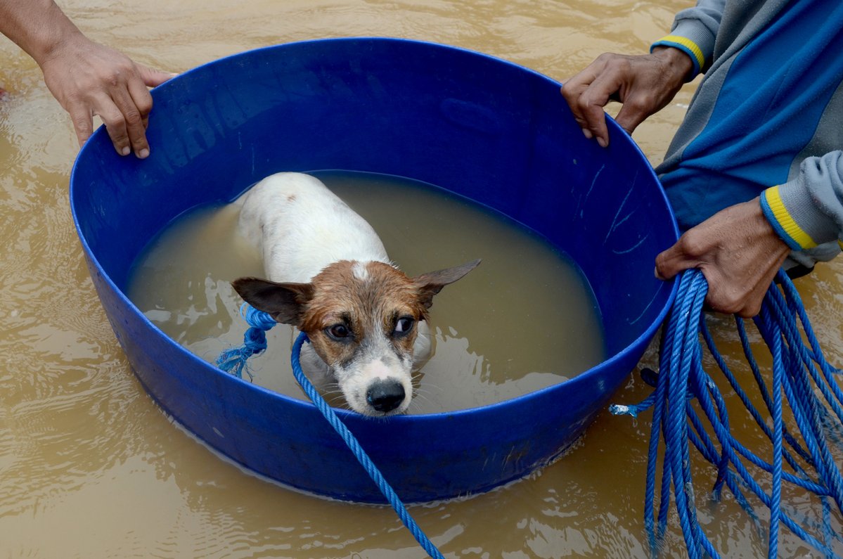 South Sulawesi : Indonesian rescuers hunt for survivors as death toll from floods and landslides rises    